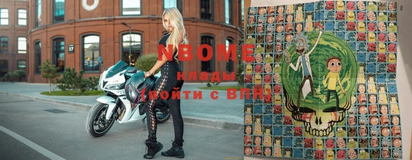 стаф Бердск