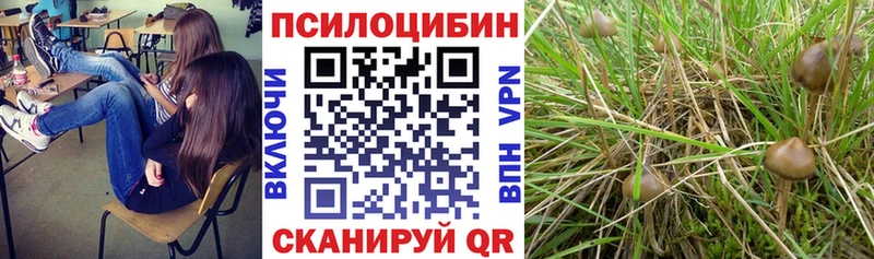 omg как зайти  Сольвычегодск  Галлюциногенные грибы ЛСД 