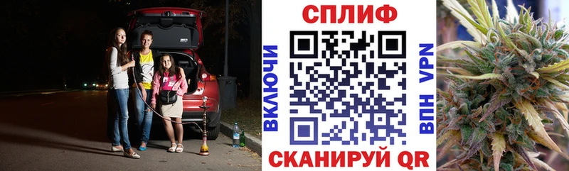 Бошки марихуана планчик  цены наркотик  Сольвычегодск 